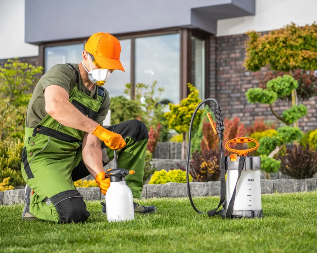 Fumigación en Trujillo Profesional