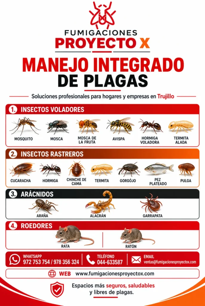 Fumigación en Trujillo